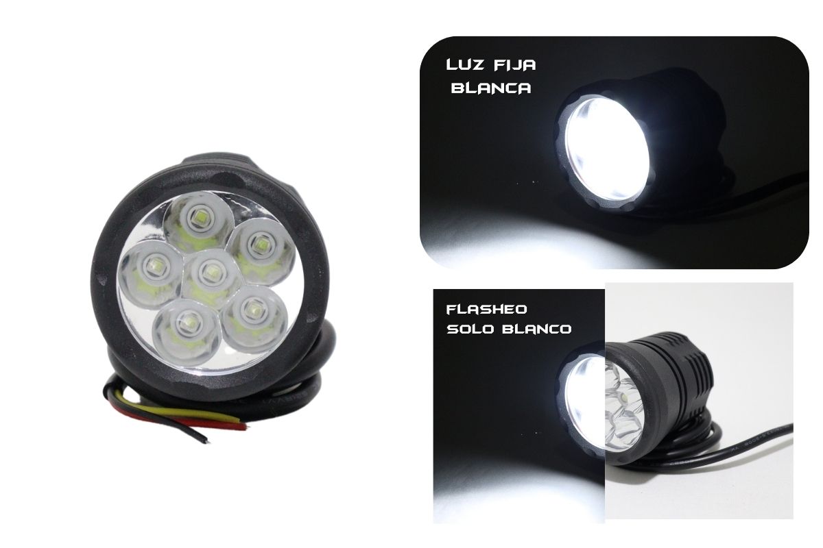 Exploradora-TB-030-4